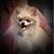 Karen Casamento's profile image
