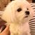 Lulu Belle's profile image