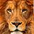 Mark H. Wallace's profile image