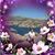 Marilynn Biberdorf Adell's profile image