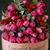 Maria Duong's profile image