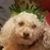 Marilyn Dust's profile image