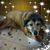 Sue Wagner's profile image