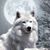Jan Hoover Clodfelter's profile image