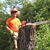 Wes Nichols's profile image