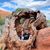 Kimberly Bechtold-Erickson's profile image