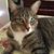Loretta Gregory Parrish's profile image
