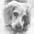 Mike P Timek's profile image