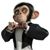 Celio Nunes's profile image