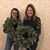 Beth Ericson's profile image