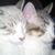 Louise Bennett's profile image