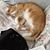 Joann Fuhs's profile image