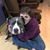 Lisa Shaw's profile image