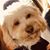 Lana Ladybag's profile image