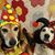 Mindy Tonsing Allen's profile image