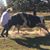 John Phillip Reeves's profile image