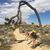 Katherine Coble's profile image
