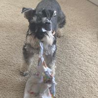 Mary Beth Foss's profile image