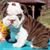 Frankie Sierra's profile image