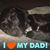 John Madera's profile image