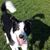 Alura Gilliland's profile image