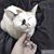 Hồngg Oanhh's profile image