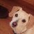 Barb Kuhn Toussaint's profile image