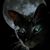 Francesco De Alto's profile image