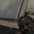 Lateisha Eley's profile image