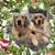 Terri Turner Cabaniss's profile image