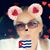 Connie Palenque's profile image