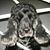 Silvia Domenech's profile image