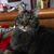 Evelyn Schlick's profile image