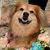 Kyle Witherspoon's profile image