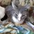 Deanna L Johnson's profile image