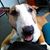 Kirby Holloway Ruland's profile image