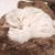 Sheila Carden Hoyles's profile image