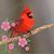 Lori Utecht's profile image