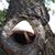 Kathy Webb's profile image