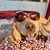 Amy Murtland-Dzurko's profile image