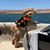 Leanna Sork's profile image