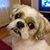 Tina D'Alessandro's profile image