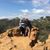 Linda Towne's profile image
