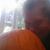Carol Lynn Hibbs's profile image