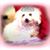 Diane Schwartz's profile image