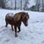 Lori Basch Fishkind's profile image