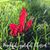 Cindie Winquist's profile image