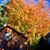 Joann Olsavsky Parkhurst's profile image