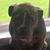 Chris Ashby's profile image