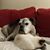 Diane Gollick's profile image